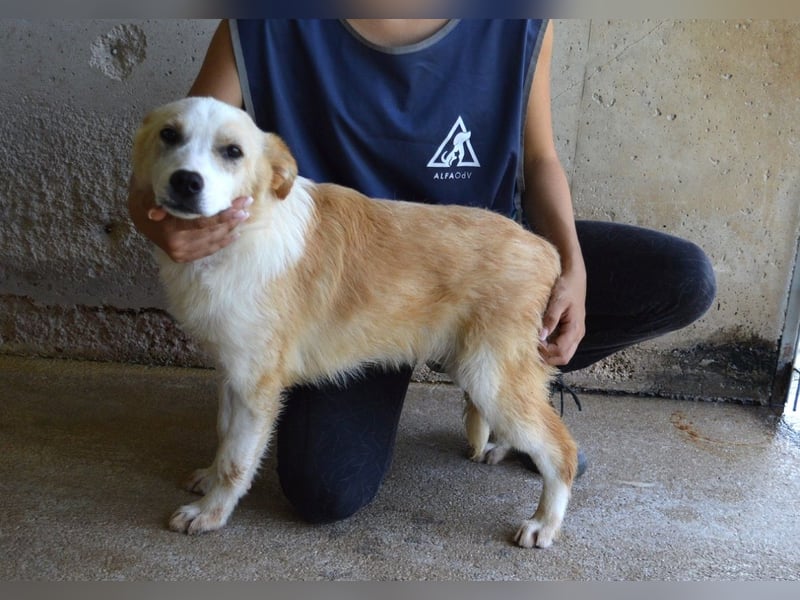 Simbad - Ein verlässlicher Partner...