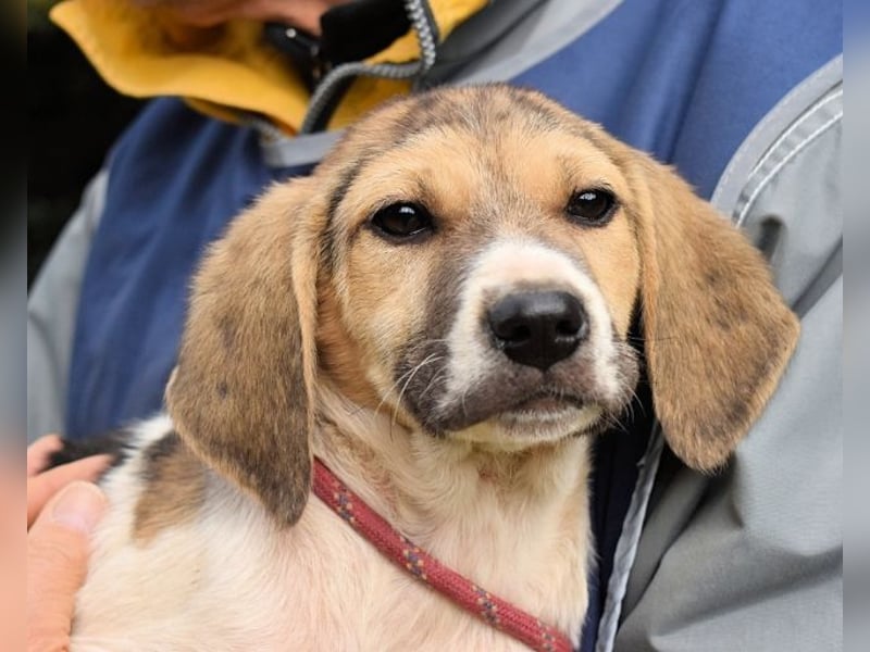 Wasker - Als Mama noch bei uns war
