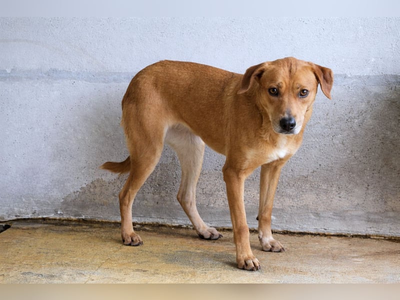 Idalee - Die Wunde namens Zeit