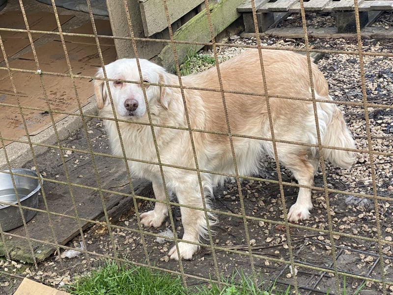 Ruby - wenn aus vorsichtigem Mut echtes Vertrauen wächst
