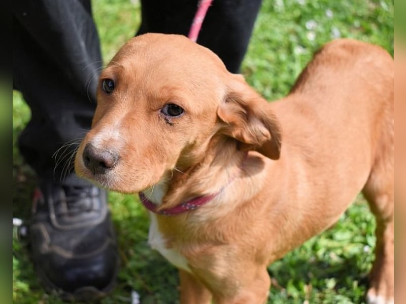 Wixelle - Als Mama noch bei uns war