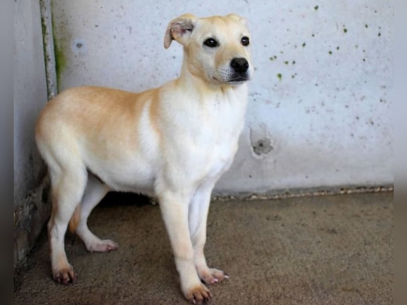 laro - gesucht: ein Post-it mit "Sicherheit"