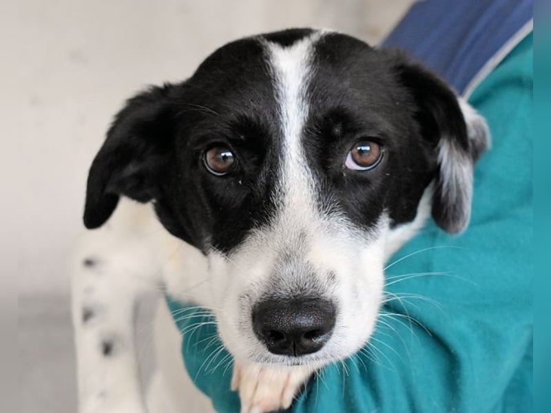 Deliane - Navigation auf "Zuhause" gestellt