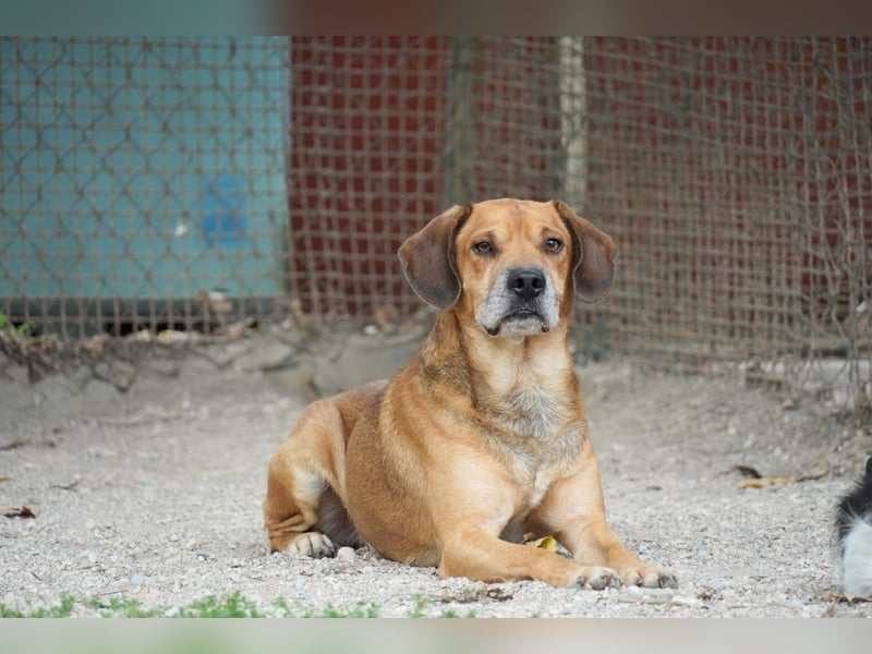 Houdini - Sind Sie Houdinis Houdini?