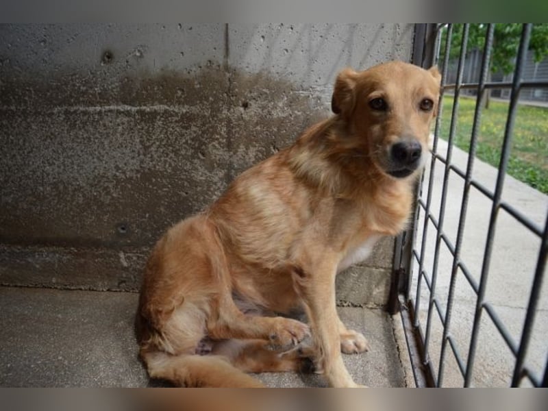 Ferelith - Was wäre, wenn....