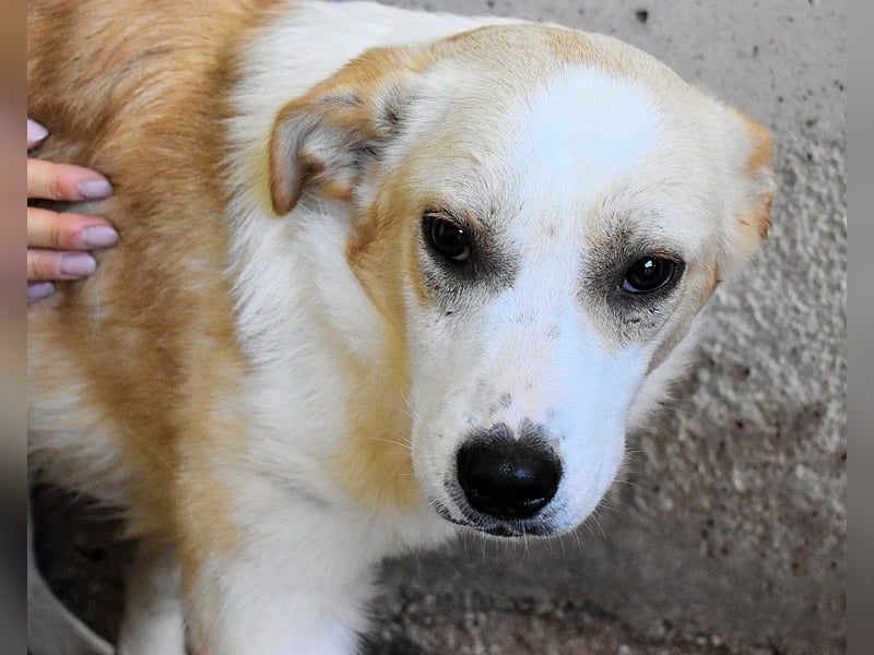 Simbad - Ein verlässlicher Partner...