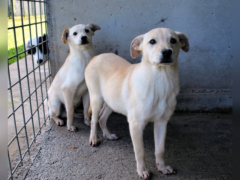 Elaro - gesucht: ein Post-it mit "Sicherheit"