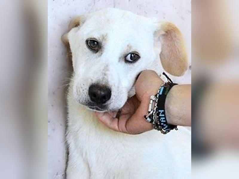 Radford - Ein Anfang, der nie kam