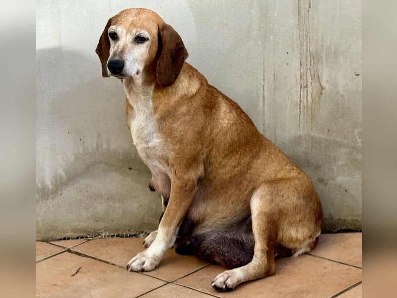 Silke - Zehn Jahre Stärke, jetzt ist sie an der Reihe