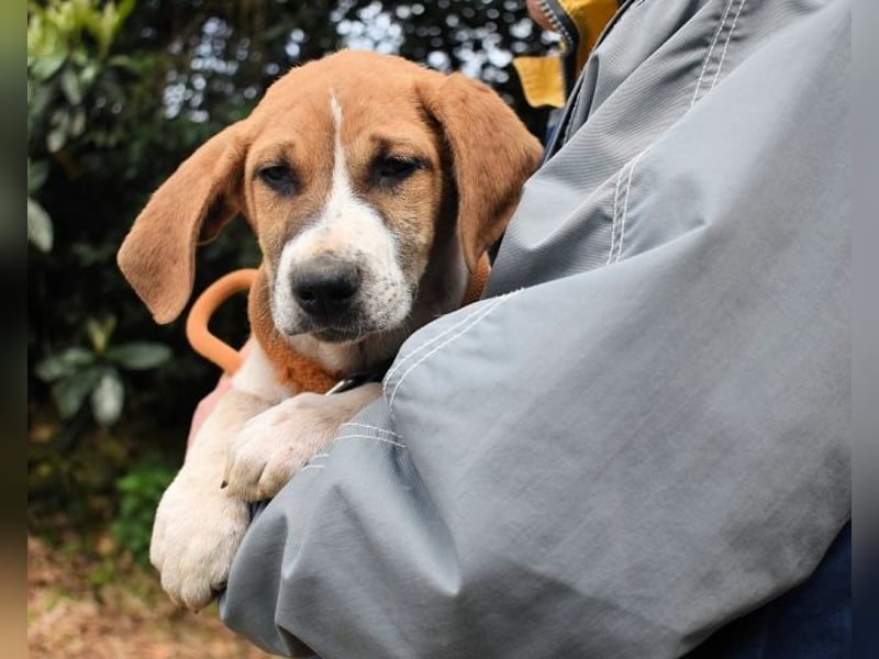 Waylo - Als Mama noch bei uns war