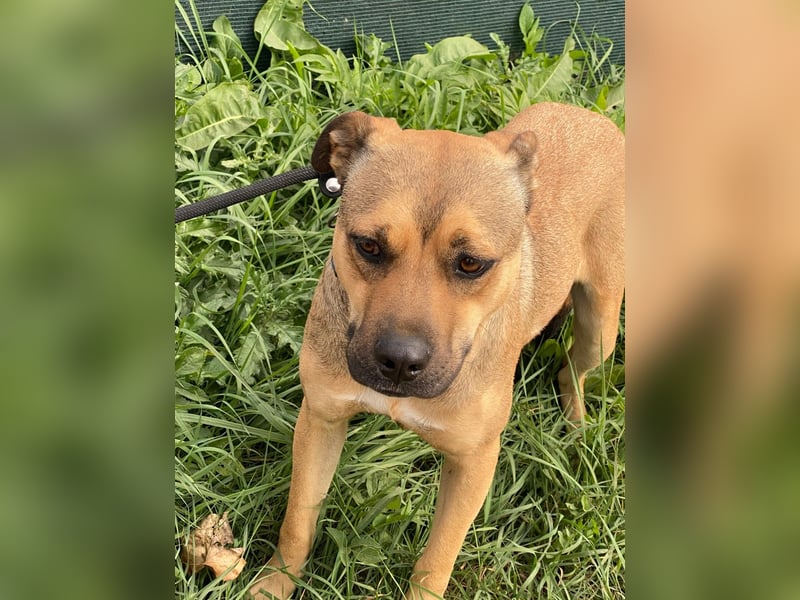 Faudor - Bist du die letzte Station meiner Odyssee?