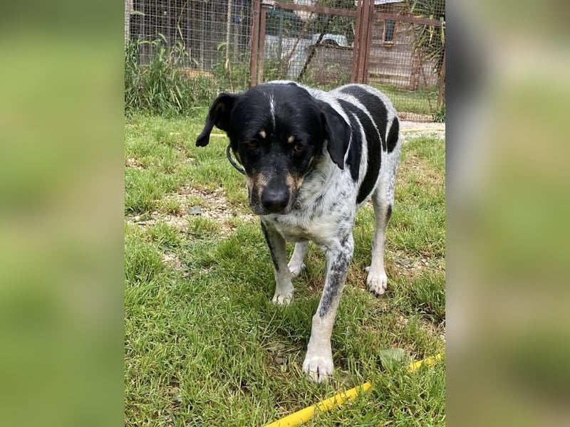 Bice - Das hat sie nicht verdient