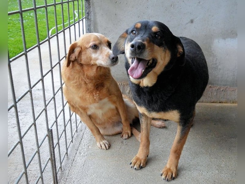 Mirjana - Mit Rückenwind ins Glück!