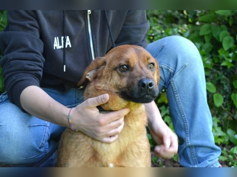 Monaldo - In der Ruhe liegt die Kraft!