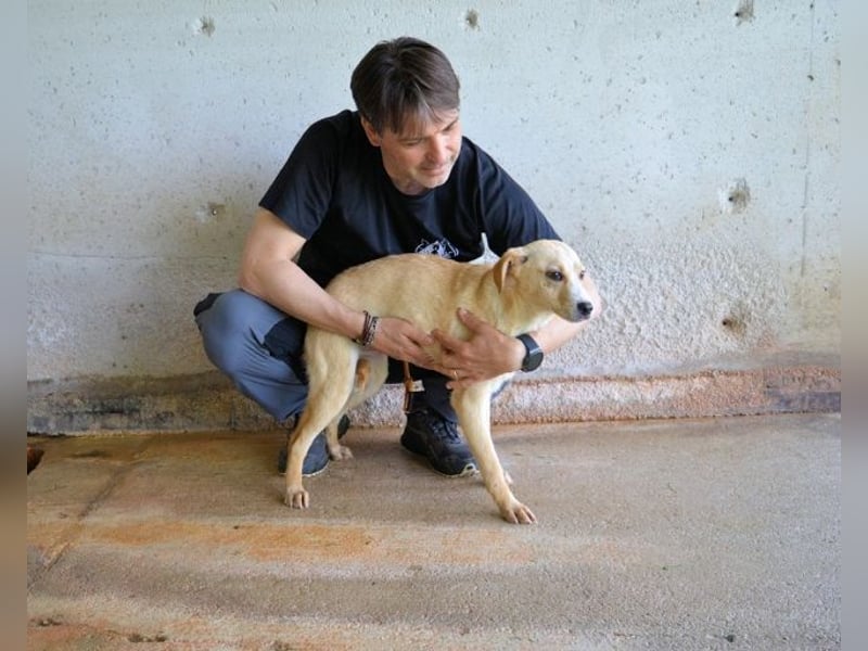 Rodrigue - Ein Anfang, der nie kam