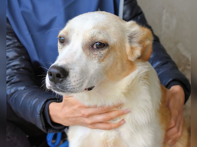 Simbad - Ein verlässlicher Partner...