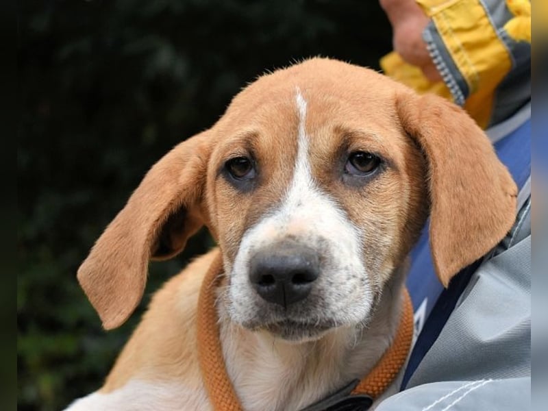 Waylo - Als Mama noch bei uns war