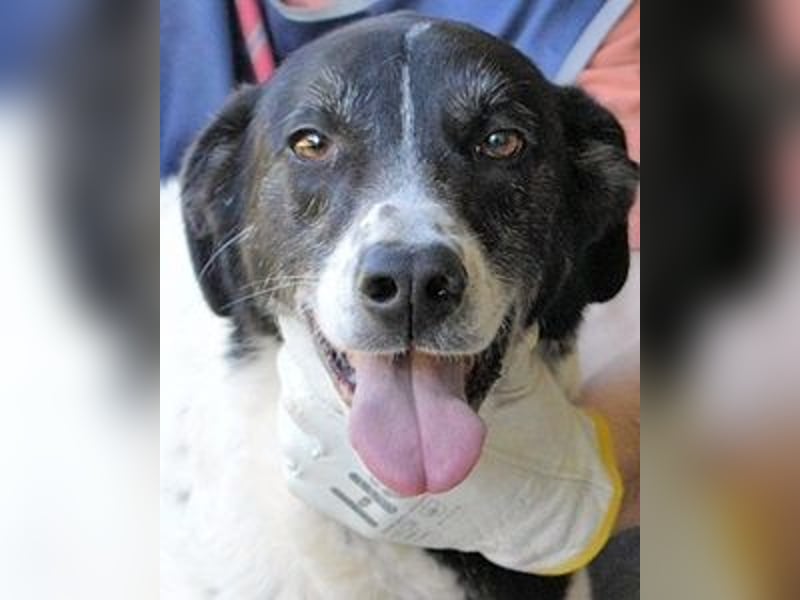 Lorianne - Diplomierte Zuhörerin sucht Sofa & Sonne