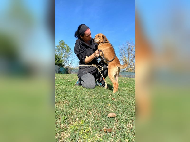 Houdini - Sind Sie Houdinis Houdini?