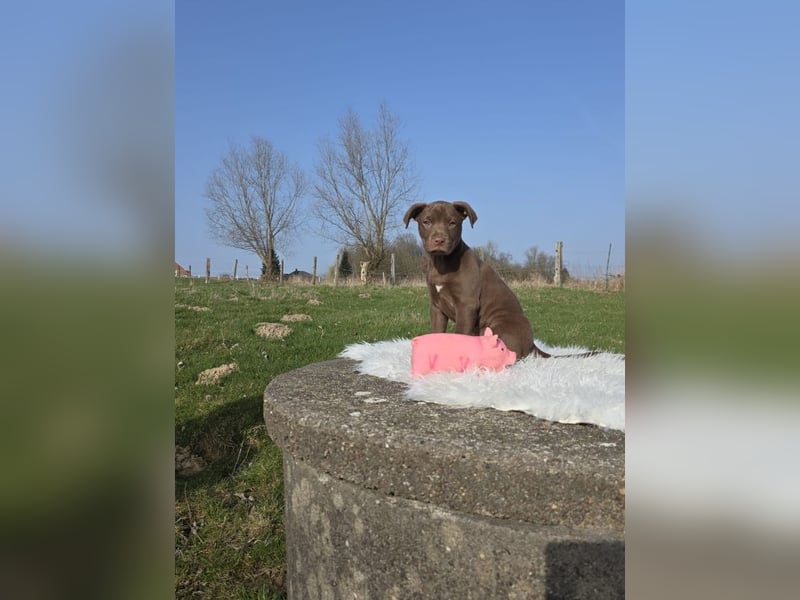 Liva - Also ehrlich, wir sind doch nur Babys!