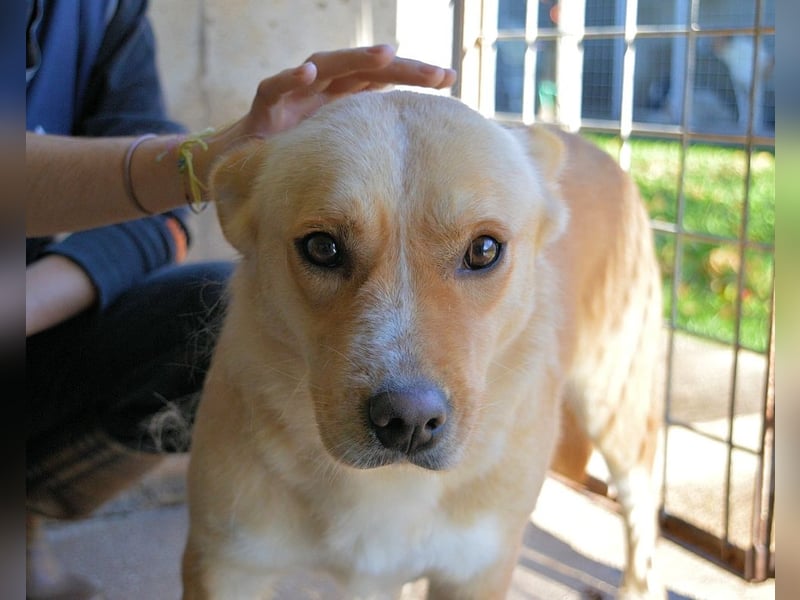 Sigrid - es ist wankelmütig, dieses Schicksal