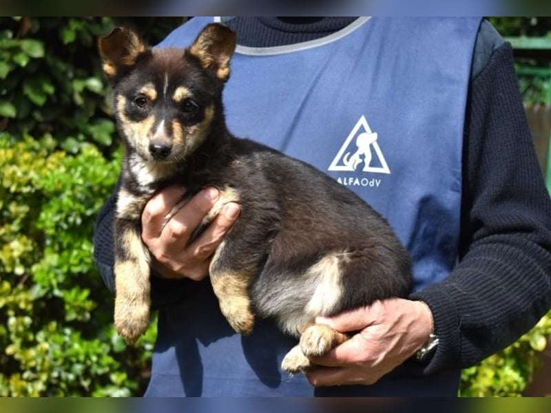 Vionella - Kuckuck...hallo...sind da draußen Menschen?