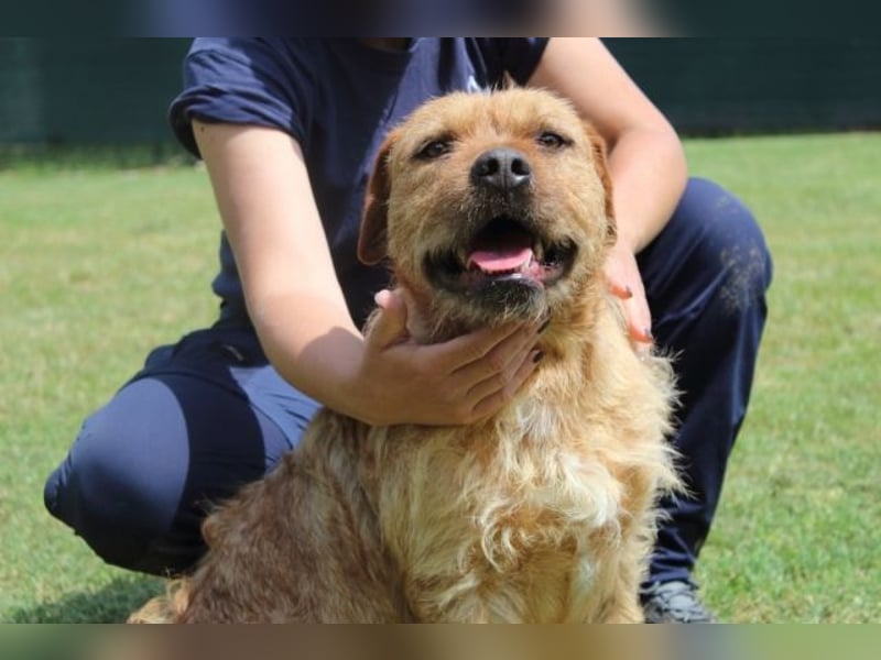 Icarus - Ein freundlicher Charmeur