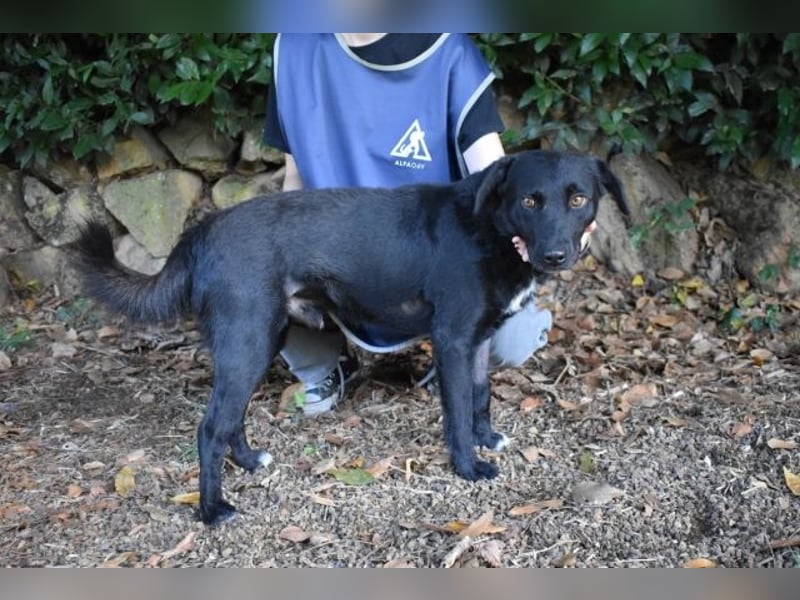 Rafeed - Möge der kleine Drache ihn beschützen