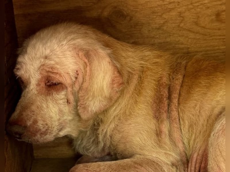 Ruby - Vom Dunkel ans Licht