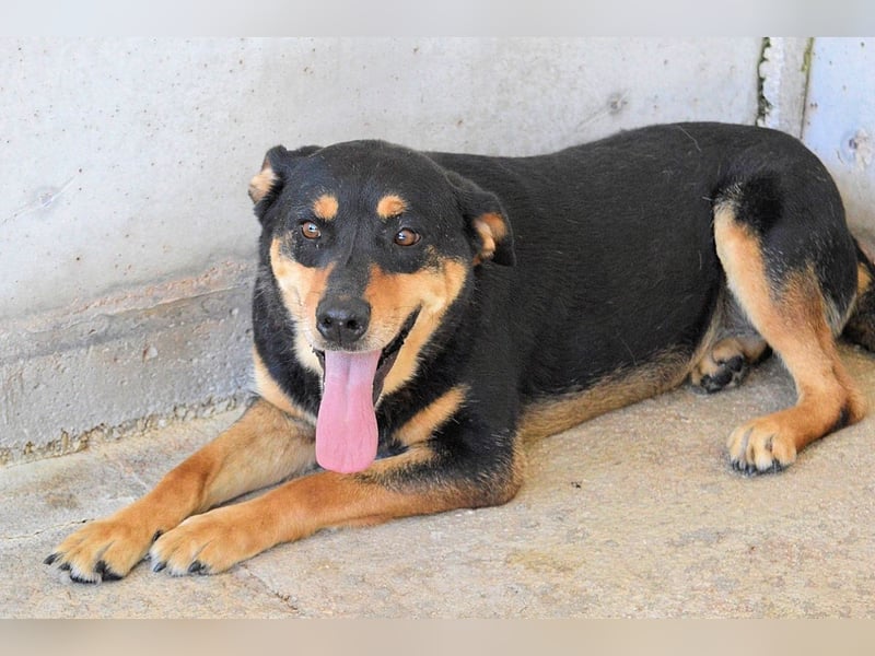 Mirjana - Mit Rückenwind ins Glück!