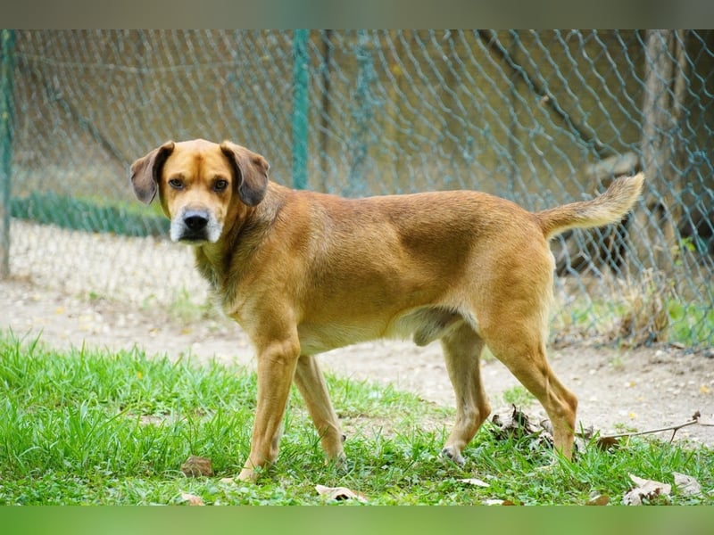 Houdini - Sind Sie Houdinis Houdini?