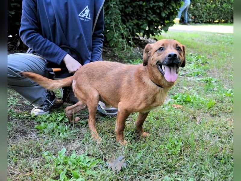 Monaldo - In der Ruhe liegt die Kraft!