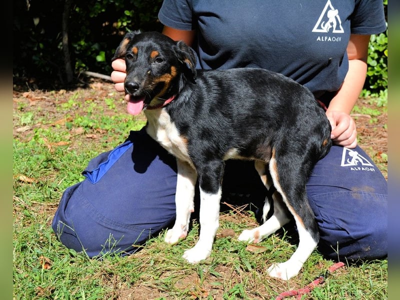 Zelia - Menschen zum Lachen bringen, das ist der Plan