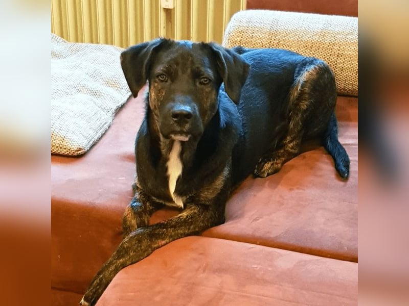 Adam - Sieben Jahre - und noch ein ganzes Leben vor sich