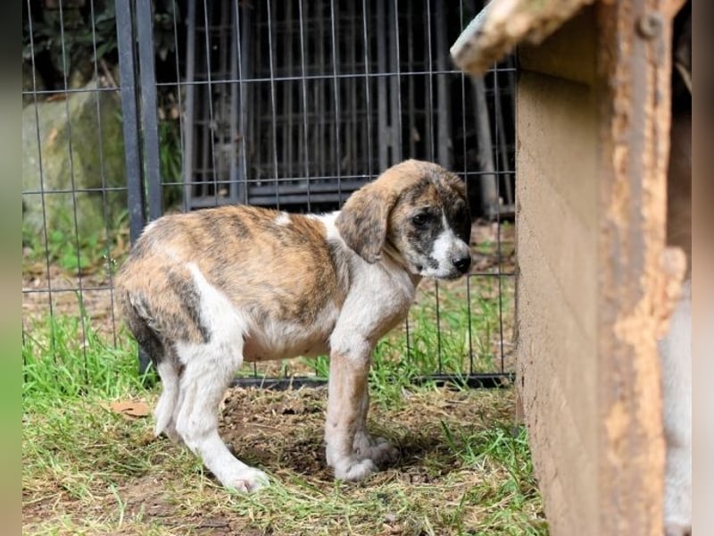 Woola - Als Mama noch bei uns war