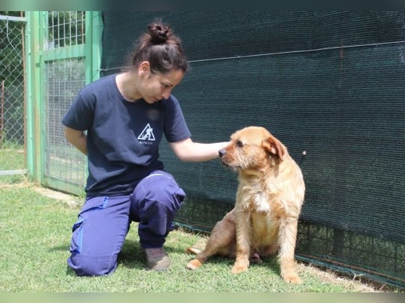 Icarus - Ein freundlicher Charmeur