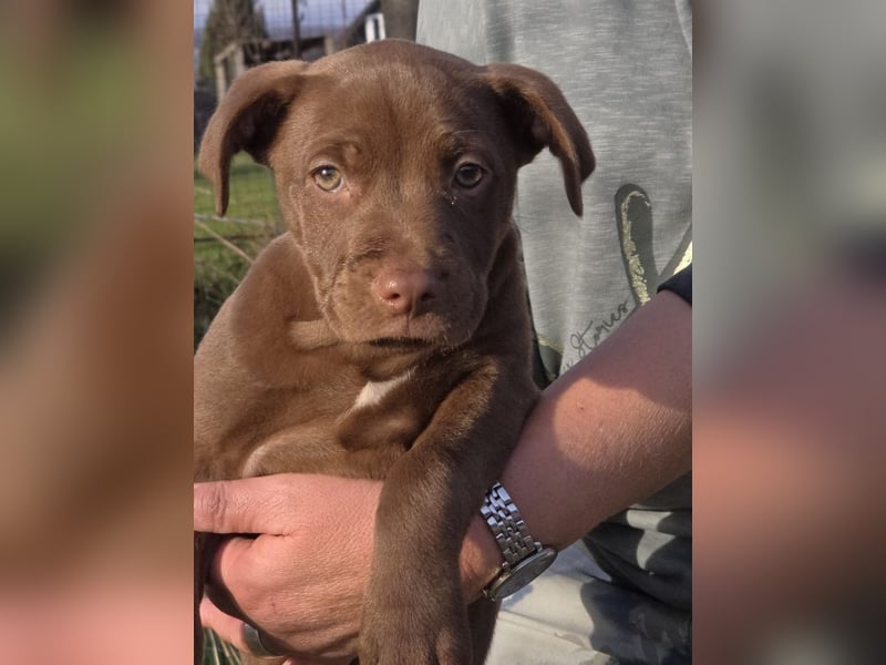 Liva - Also ehrlich, wir sind doch nur Babys!