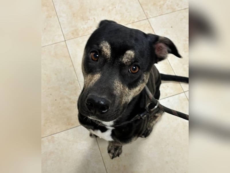 Kristian - SOS- Braucht ganz dringend ein Ausreiseticket