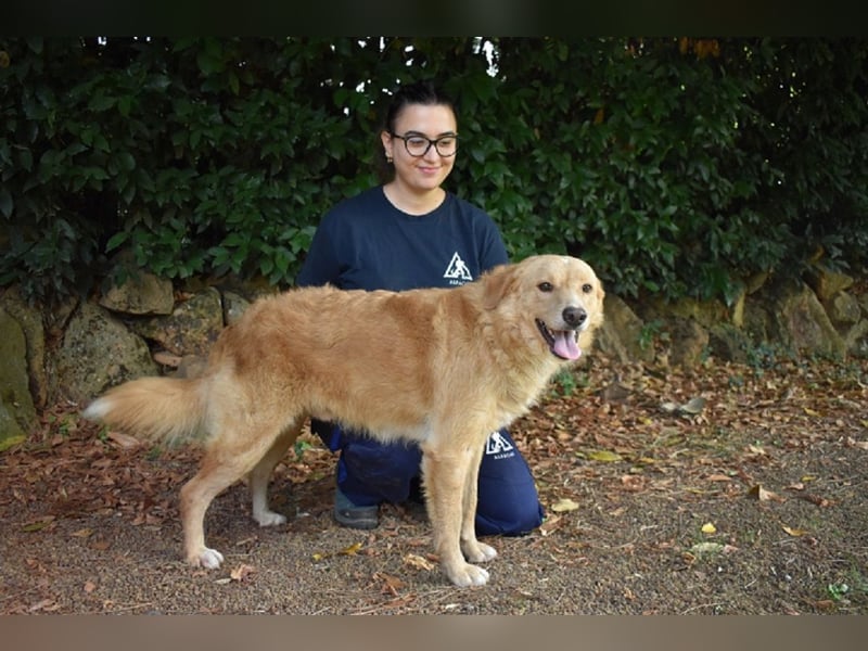 Gibble - Wie ein Wort, das auf der Zunge liegt ...