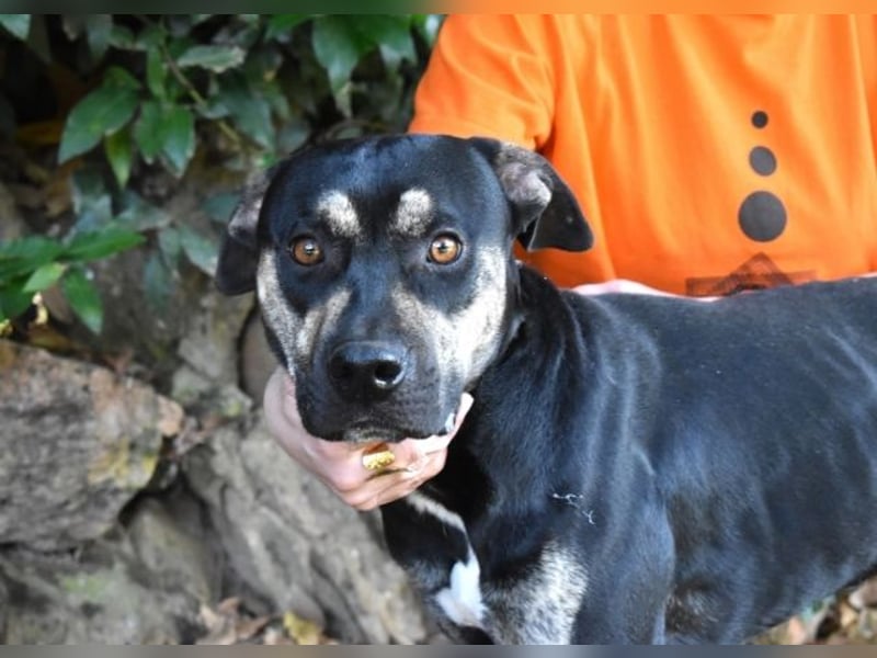 Kristian - SOS- Braucht ganz dringend ein Ausreiseticket