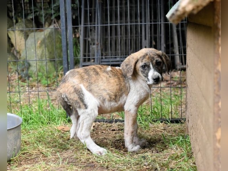 Woola - Als Mama noch bei uns war