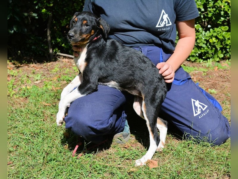 Zelia - Menschen zum Lachen bringen, das ist der Plan