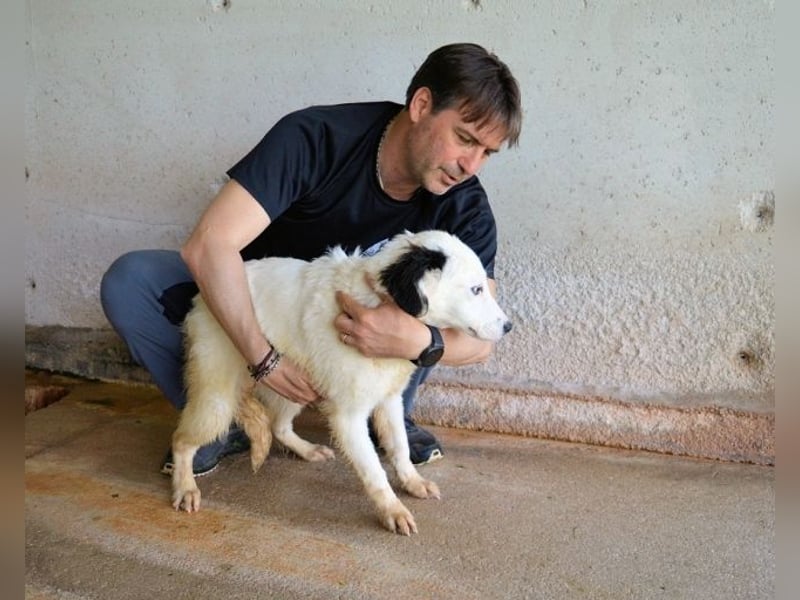 Rylando - Ein Anfang, der nie kam