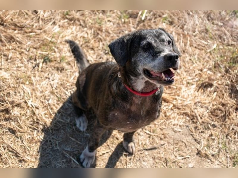 Gweni - SOS - Hoffnung auf ein Ende der Odyssee