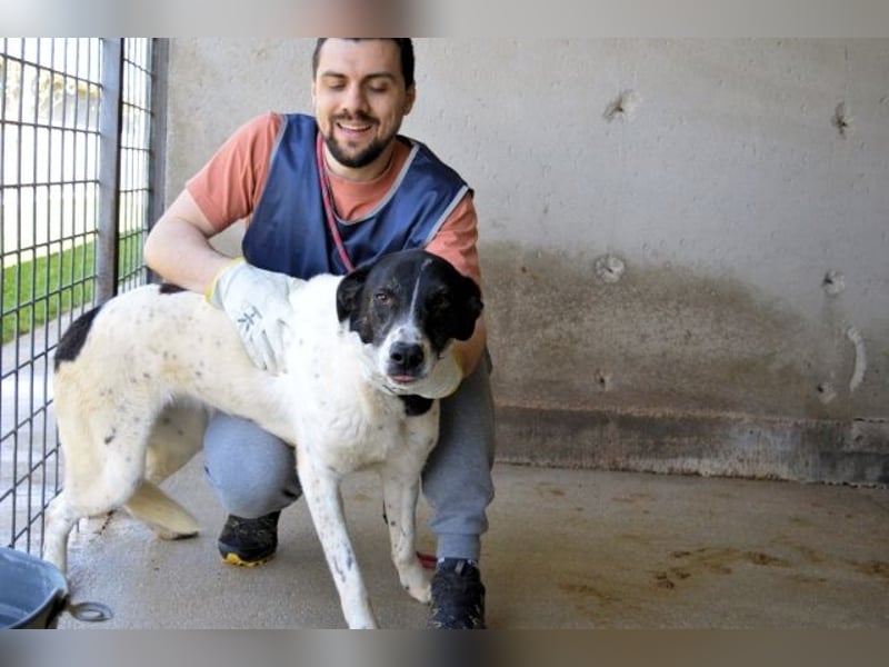 Lorianne - Diplomierte Zuhörerin sucht Sofa & Sonne