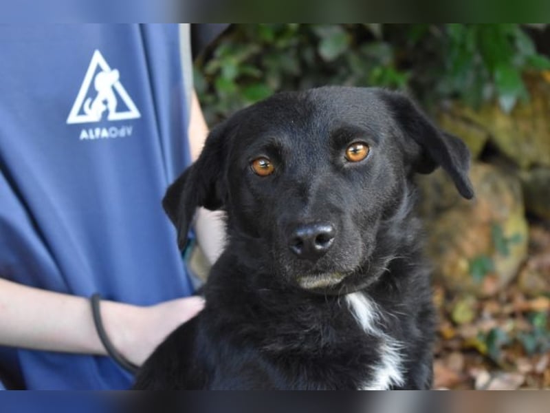 Rafeed - Möge der kleine Drache ihn beschützen