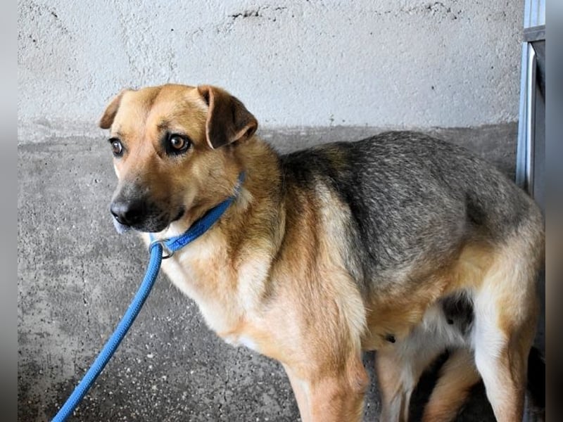 Alphonza - "...alles Gedeihen beruht auf Geduld..."