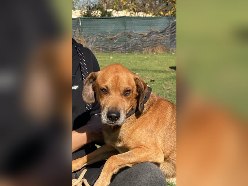 Houdini - Sind Sie Houdinis Houdini?