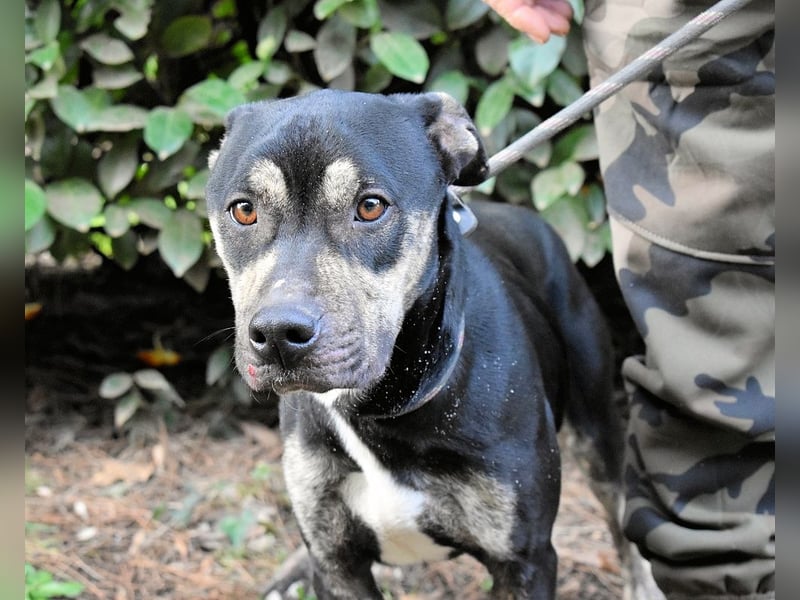 Kristian - SOS - Braucht ganz dringend ein Ausreiseticket