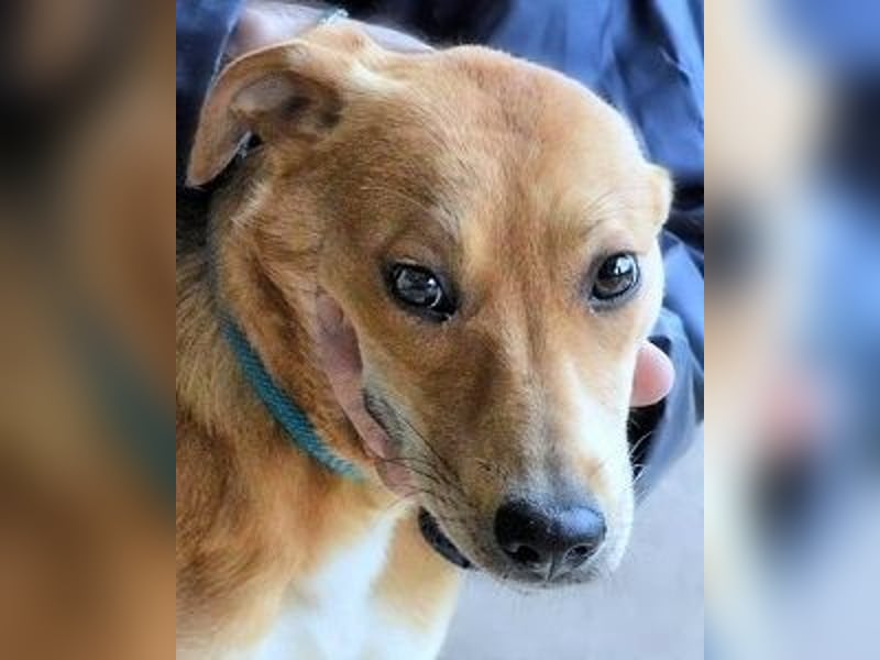 Idalee - Die Wunde namens Zeit